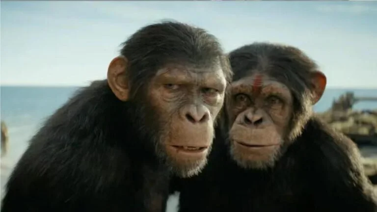 kingdom of the planet of the apes