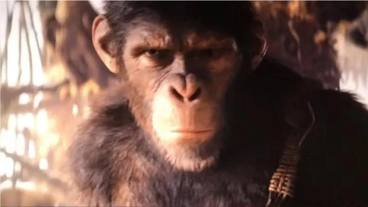 planet of the apes film series